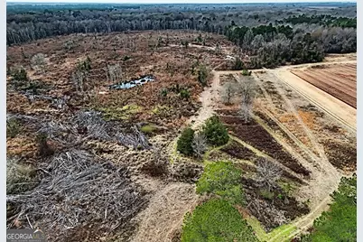 0 Eagle Pond / Old Smithville Road, Leesburg, GA 31763 - Photo 10