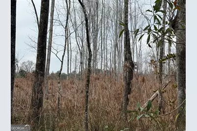 0 Eagle Pond / Old Smithville Road, Leesburg, GA 31763 - Photo 48