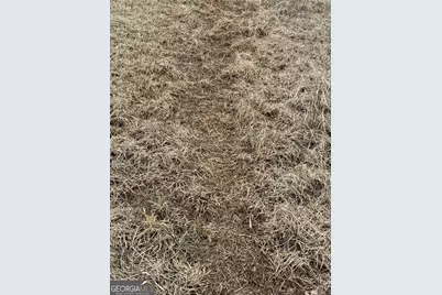 0 Eagle Pond / Old Smithville Road, Leesburg, GA 31763 - Photo 46