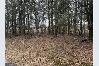 0 Eagle Pond / Old Smithville Road, Leesburg, GA 31763 - Photo 30