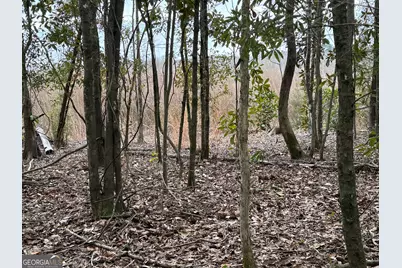 0 Eagle Pond / Old Smithville Road, Leesburg, GA 31763 - Photo 24