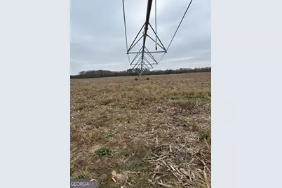 0 Eagle Pond / Old Smithville Road, Leesburg, GA 31763 - Photo 14