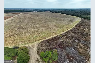 0 Eagle Pond / Old Smithville Road, Leesburg, GA 31763 - Photo 12