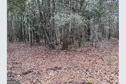 0 Eagle Pond / Old Smithville Road, Leesburg, GA 31763 - Photo 34
