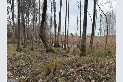 0 Eagle Pond / Old Smithville Road, Leesburg, GA 31763 - Photo 52