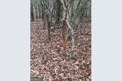 0 Eagle Pond / Old Smithville Road, Leesburg, GA 31763 - Photo 32