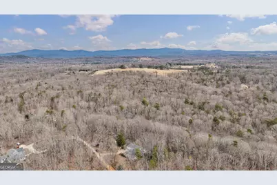 254 Ridgewood Road, Clarkesville, GA 30523 - Photo 60