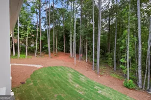 36 Alcovy Springs Dr, Monroe, GA 30656 - Photo 54