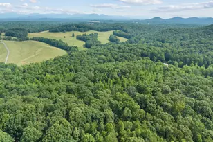 966 Wahoo Creek Rd, Murrayville, GA 30564 - Photo 78