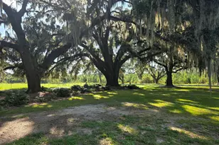 807 Pound Rd, Guyton, GA 31312 - Photo 38