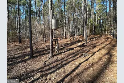 198 Culverton Church Road, Sparta, GA 31087 - Photo 20
