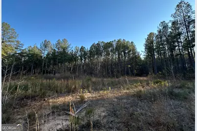 198 Culverton Church Road, Sparta, GA 31087 - Photo 42