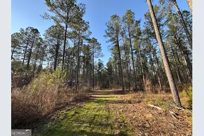 198 Culverton Church Road, Sparta, GA 31087 - Photo 28