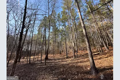 198 Culverton Church Road, Sparta, GA 31087 - Photo 18