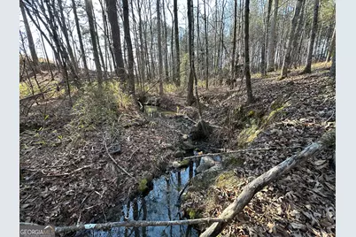 198 Culverton Church Road, Sparta, GA 31087 - Photo 16