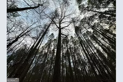 198 Culverton Church Road, Sparta, GA 31087 - Photo 62