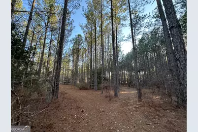 198 Culverton Church Road, Sparta, GA 31087 - Photo 46