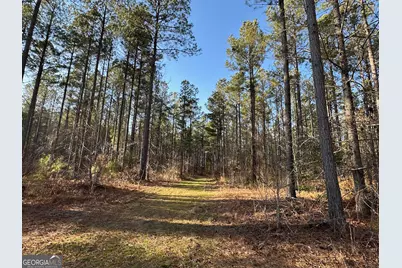 198 Culverton Church Road, Sparta, GA 31087 - Photo 30