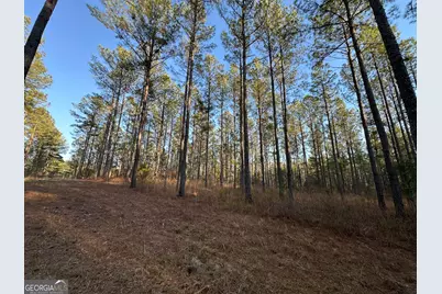 198 Culverton Church Road, Sparta, GA 31087 - Photo 50