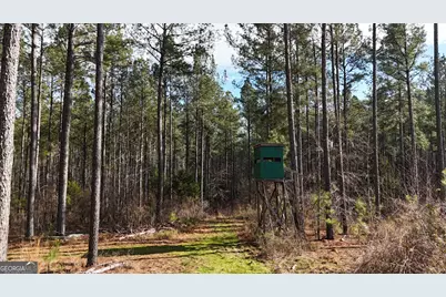 198 Culverton Church Road, Sparta, GA 31087 - Photo 8