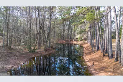 2429 N Ga Highway 119, Springfield, GA 31329 - Photo 34