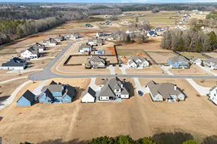 194 Bluff Mill Farms Dr, Senoia, GA 30276 - Photo 88