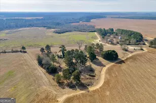 412 Red Dog Farm Rd, Cochran, GA 31014 - Photo 68
