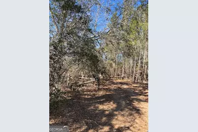 4501 Deloach Church Road, Claxton, GA 30417 - Photo 14