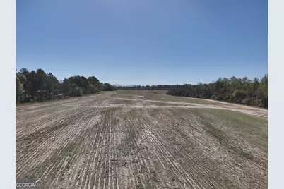 0 Old Pelham Road, Pelham, GA 31779 - Photo 8