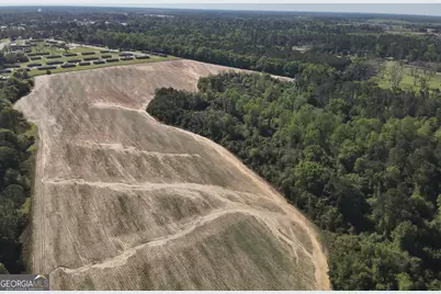 0 Old Pelham Road, Pelham, GA 31779 - Photo 6