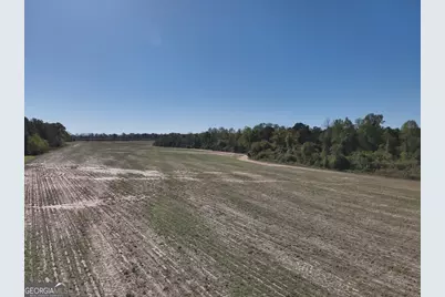 0 Old Pelham Road, Pelham, GA 31779 - Photo 10