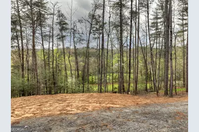 0 Hells Hollow Road, Blue Ridge, GA 30513 - Photo 58