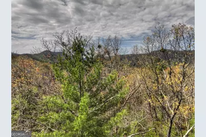 0 Hells Hollow Road, Blue Ridge, GA 30513 - Photo 50
