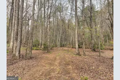 0 Hells Hollow Road, Blue Ridge, GA 30513 - Photo 34