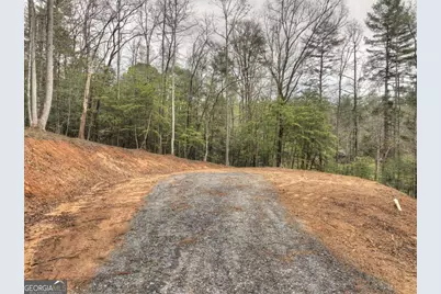 0 Hells Hollow Road, Blue Ridge, GA 30513 - Photo 56