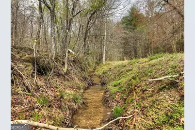 0 Hells Hollow Road, Blue Ridge, GA 30513 - Photo 48