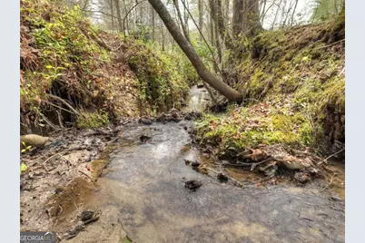 0 Hells Hollow Road, Blue Ridge, GA 30513 - Photo 40