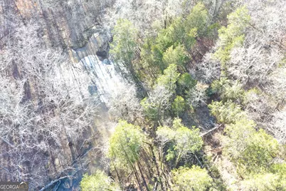 4427 County Line Road #206.61 ACRES, Mansfield, GA 30055 - Photo 38