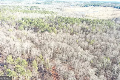 4427 County Line Road #206.61 ACRES, Mansfield, GA 30055 - Photo 46