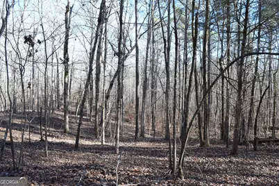 4427 County Line Road #206.61 ACRES, Mansfield, GA 30055 - Photo 8