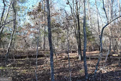 4427 County Line Road #206.61 ACRES, Mansfield, GA 30055 - Photo 18