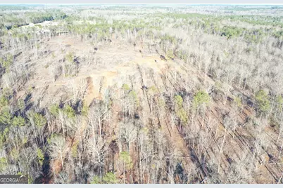 4427 County Line Road #206.61 ACRES, Mansfield, GA 30055 - Photo 44