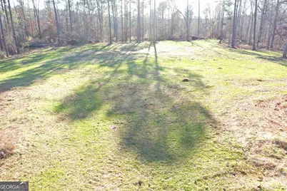 4427 County Line Road #206.61 ACRES, Mansfield, GA 30055 - Photo 30