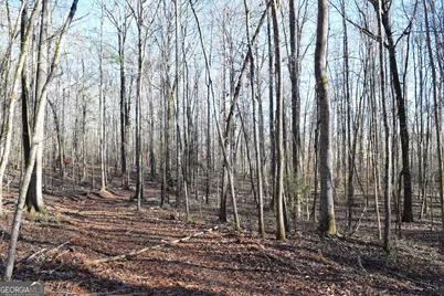 4427 County Line Road #206.61 ACRES, Mansfield, GA 30055 - Photo 26