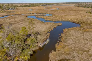 333 Bluffs Landing, Waverly, GA 31565 - Photo 80