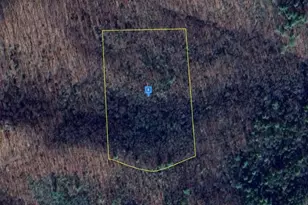 383 Smyrna Hill Rd, Young Harris, GA 30582 - Photo 1