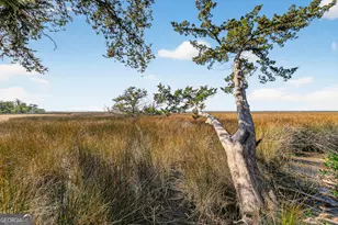 105 Hawkins Island Cir, Saint Simons, GA 31522 - Photo 68