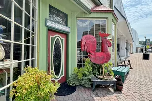 203 Jerry Dr, Hogansville, GA 30230 - Photo 48