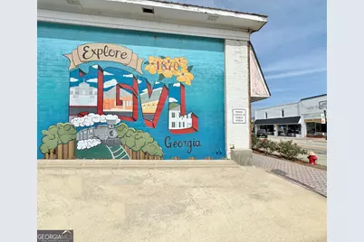 203 Jerry Drive, Hogansville, GA 30230 - Photo 48