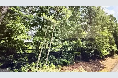 0 Monticello Highway, Madison, GA 30650 - Photo 6